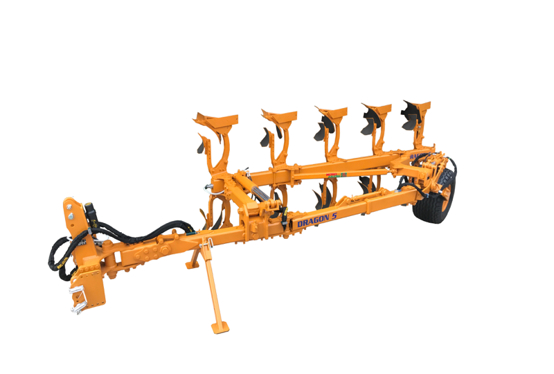 DRAGON S - PENTAVOMERE 